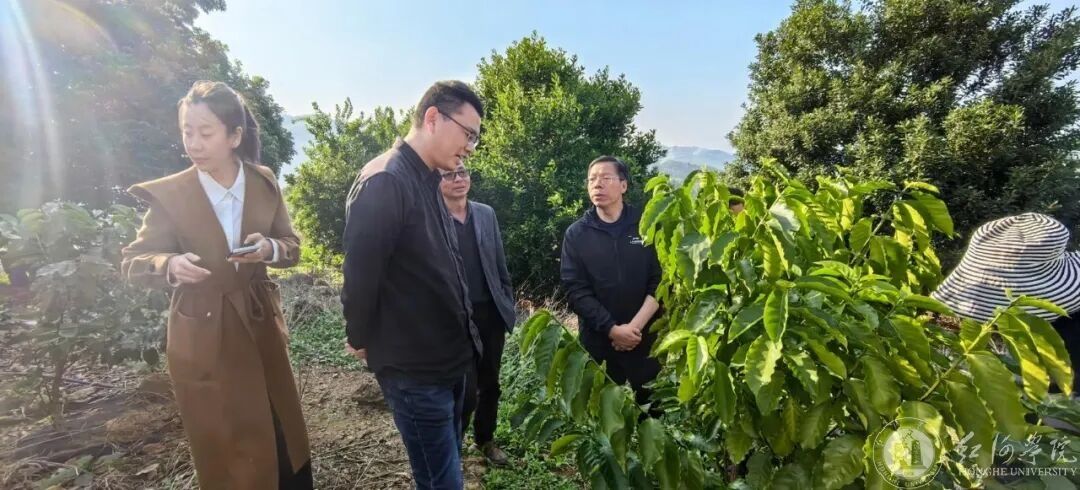 undefined undefined